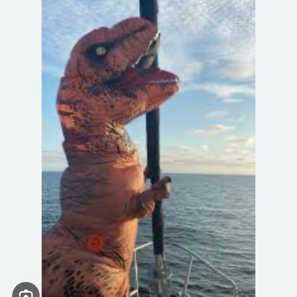 Tispy T-Rex Live Estate Jewelry Show Schedule.  New Shows added weekly - Picture 8 of 10